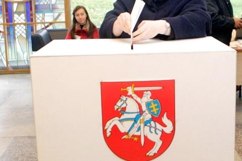 выборы