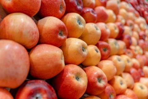 Яблоки Яблоки