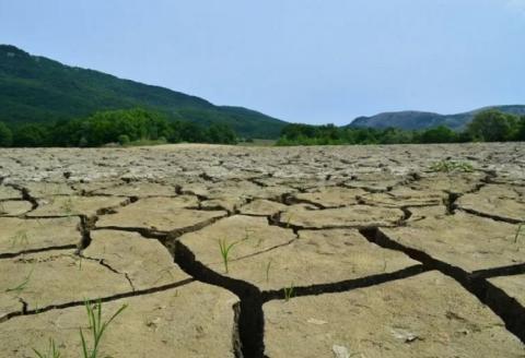 Засуха Крым