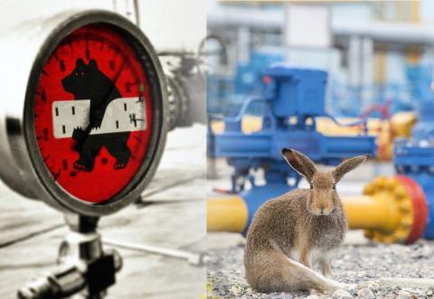 Аналитик: Газпром добился высоких цен на газ, сдерживая экспорт в Европу