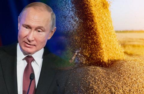 Решение Путина по экспорту пшеницы вызвало резонанс на мировых рынках