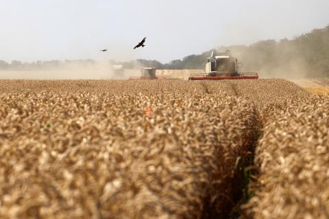 Россия собрала свыше 100 млн тонн зерна и готова опровергнуть прогнозы США