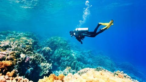 Немецкая подводная обсерватория пропала со дна Балтийского моря