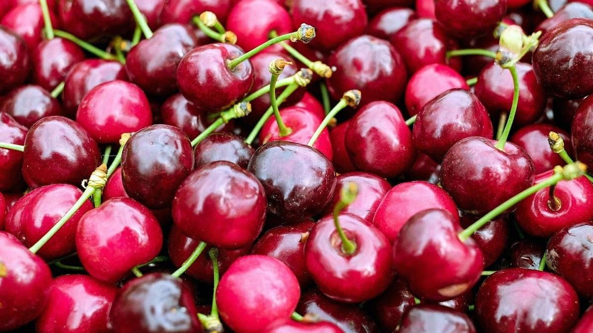 Эндокринолог Хайкина: Черешня полезна для сердца и сосудов Черешня