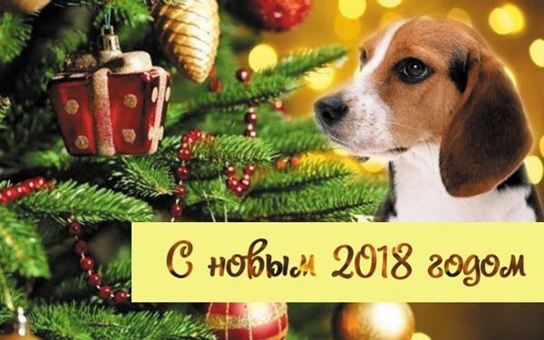 Новый год 2018 Собаки