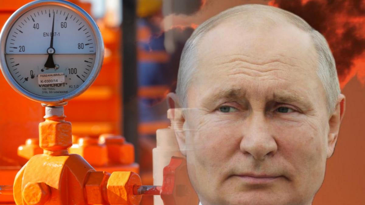 В Die Welt объявили, почему Путин стал защитником климата