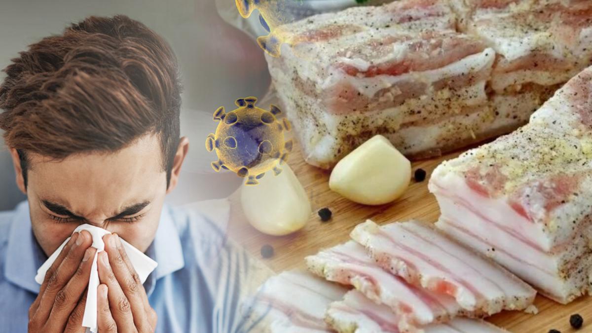 человек и сало человек и сало