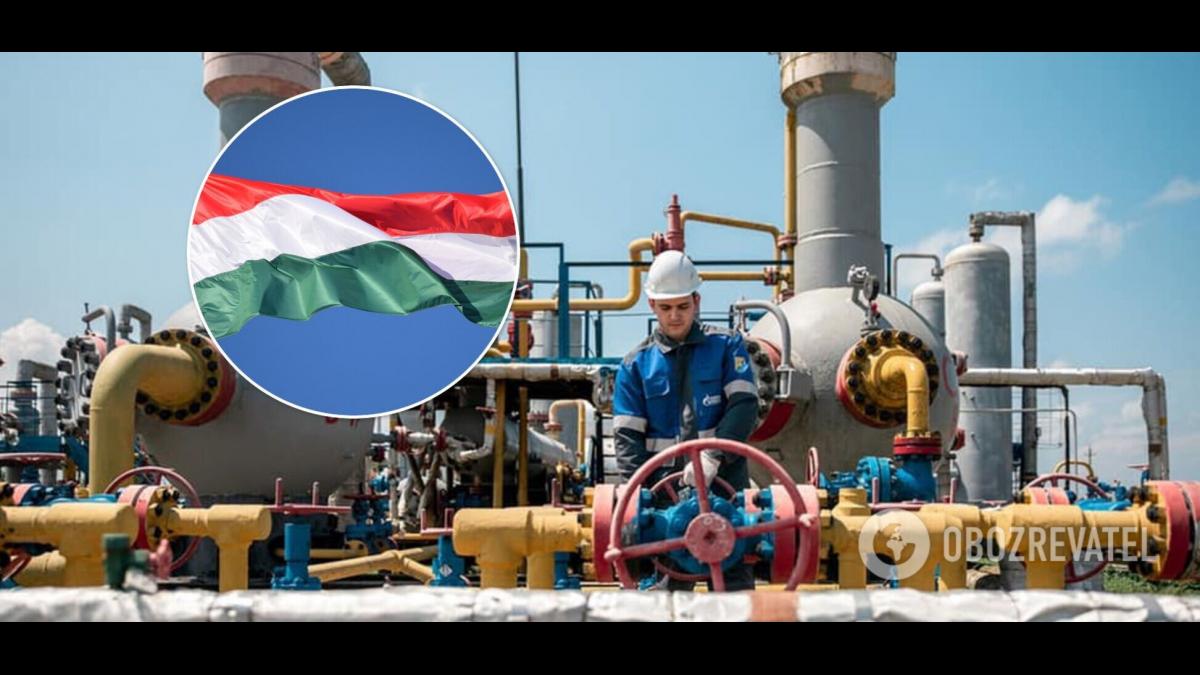 Марцинкевич: Венгрия накажет Украину за газовый демарш Марцинкевич: Венгрия накажет взбунтовавшуюся Украину за демарш по газу