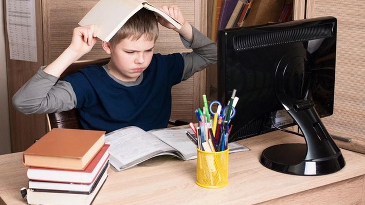 Дистанционное обучение в школах Школьник учит уроки дома
