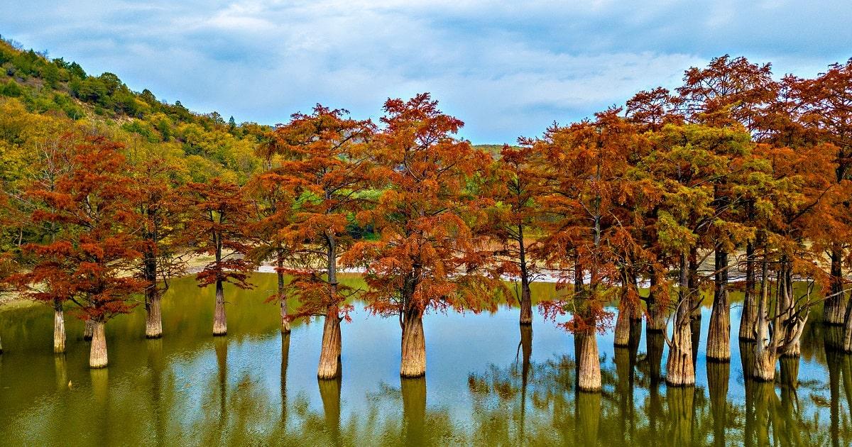 Кипарисовое озеро в анапе фото летом