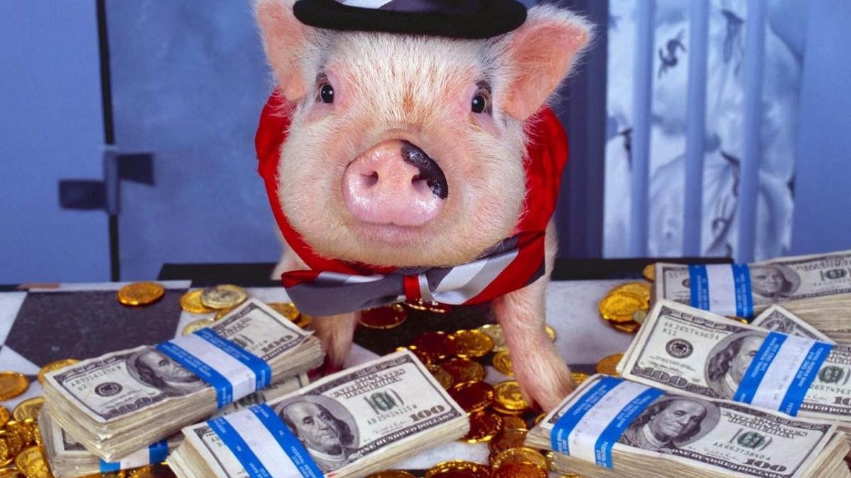 финансовый гороскоп на год жёлтой свиньи для знаков Зодиака Финансовый гороскоп на 2019 год Желтой Свиньи для всех знаков Зодиака
