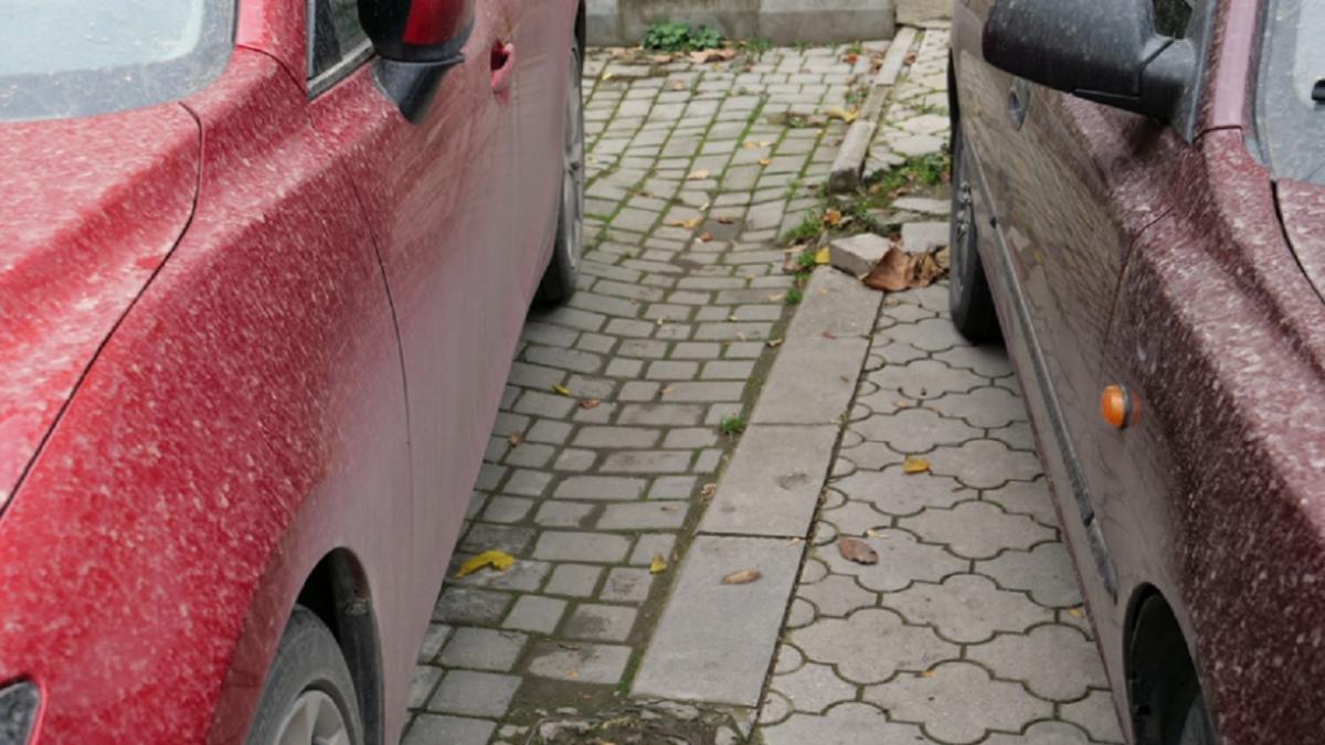 Грязный дождь в Севастополе Севастополь грязный дождь