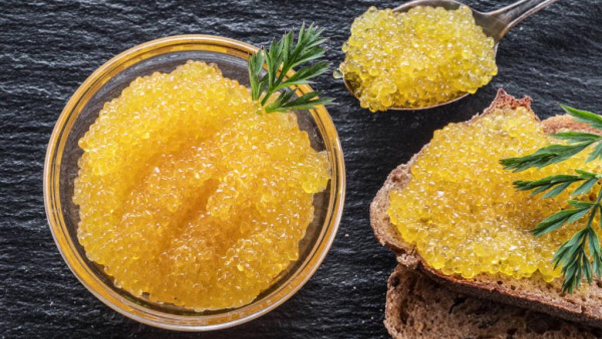 Икра щуки Щучья икра
