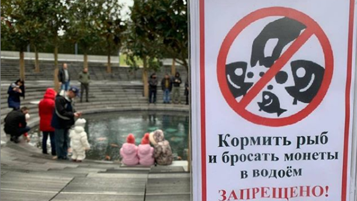 Карпы кои в парке Краснодара В парке «Краснодар» к пруду с карпами приставили охранника
