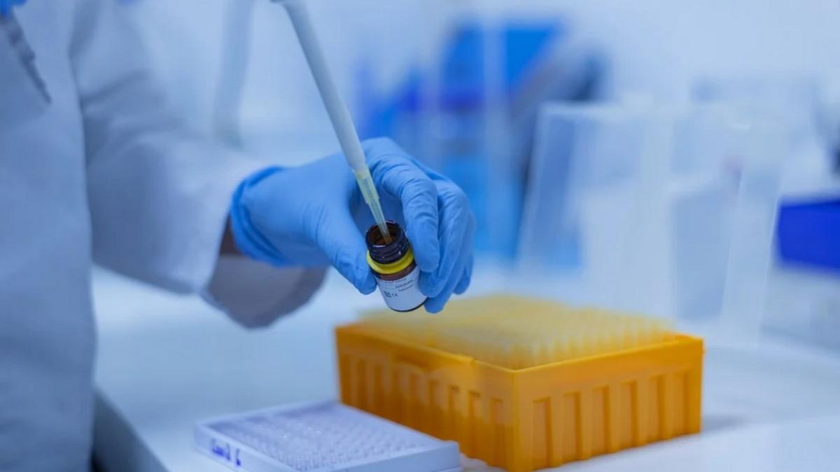 Лабораторные исследования Лабораторные исследования