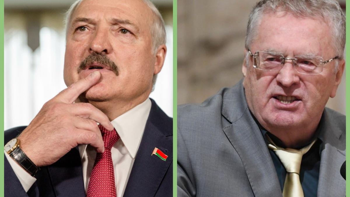 Жириновский объяснил, почему Россия вынуждена терпеть Лукашенко Лукашенко Жириновский