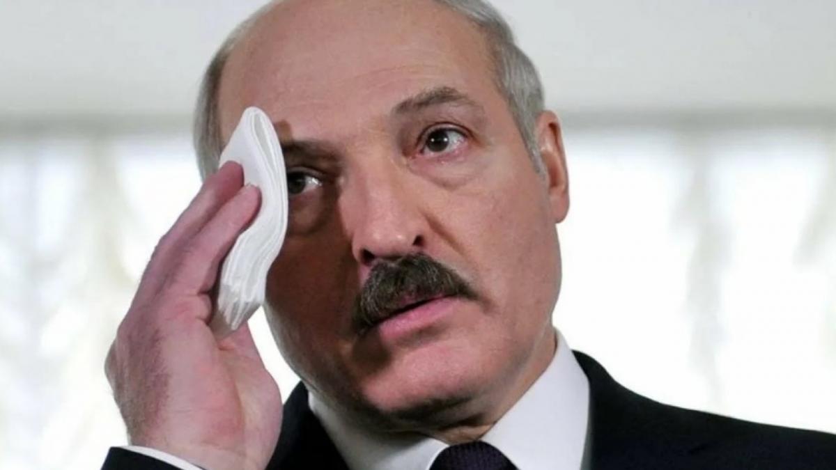 Президент Белоруссии Александр Лукашенко Александр Лукашенко