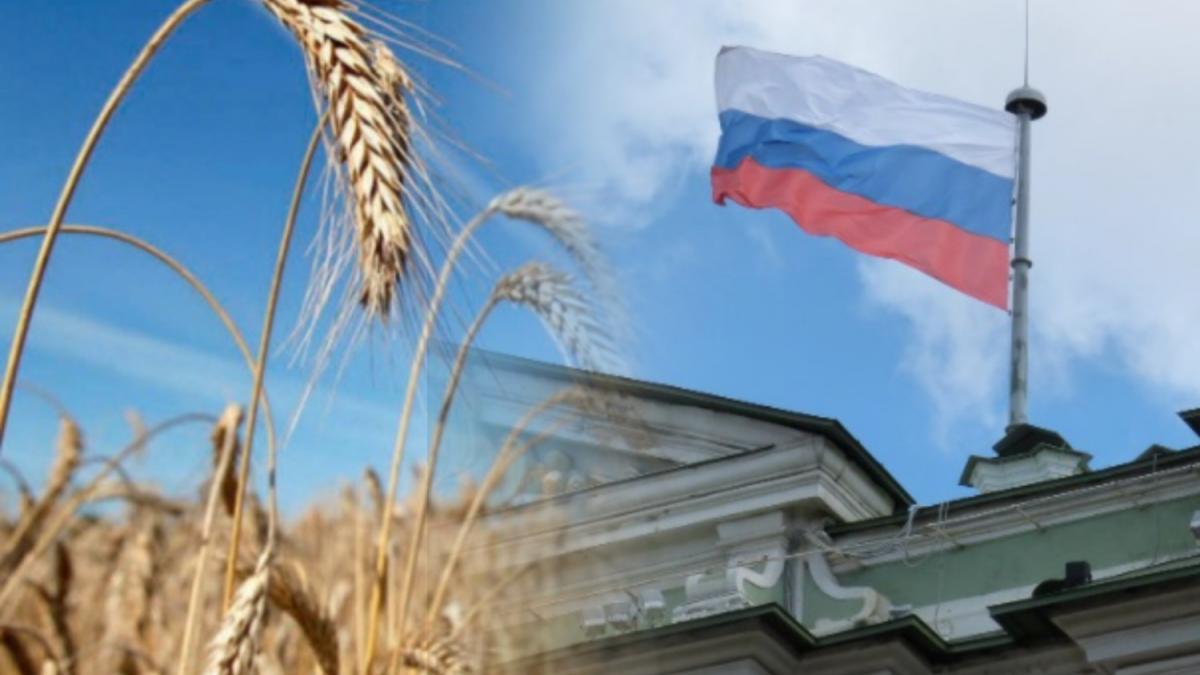 Российская пшеница Планы России по пшенице