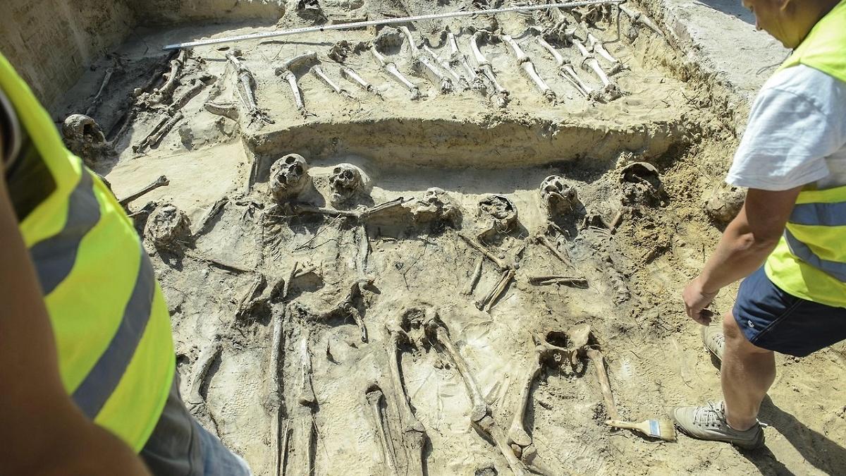 42 связанных скелета обнаружены в загадочном захоронении 42 связанных скелета обнаружены в загадочном захоронении