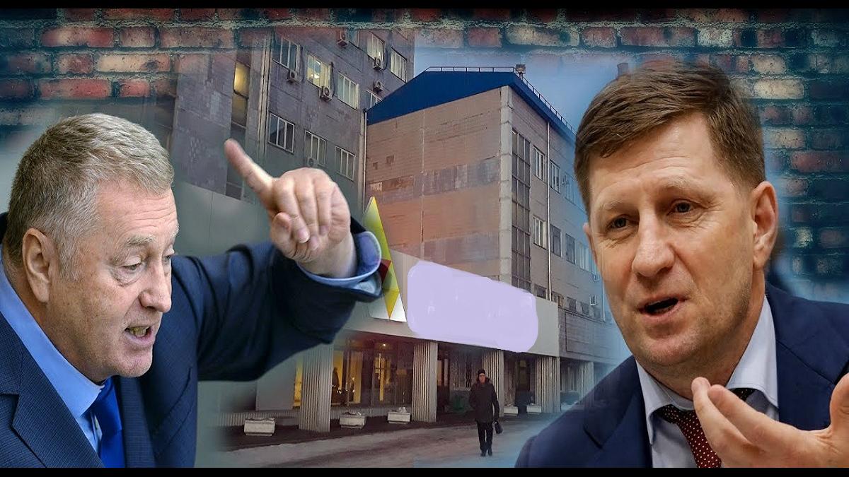 Коллаж: Жириновский и Фургал Жириновский и Фургал