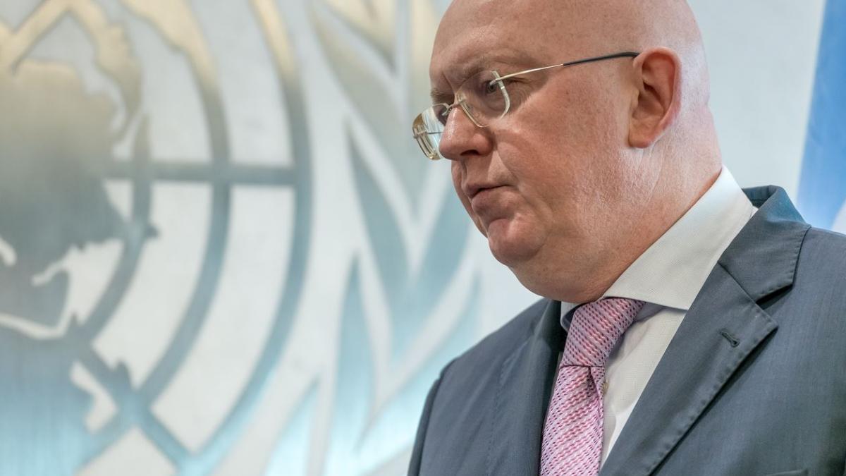 Виталий Небензя на фоне эмблемы ООН Виталий небензя ООН