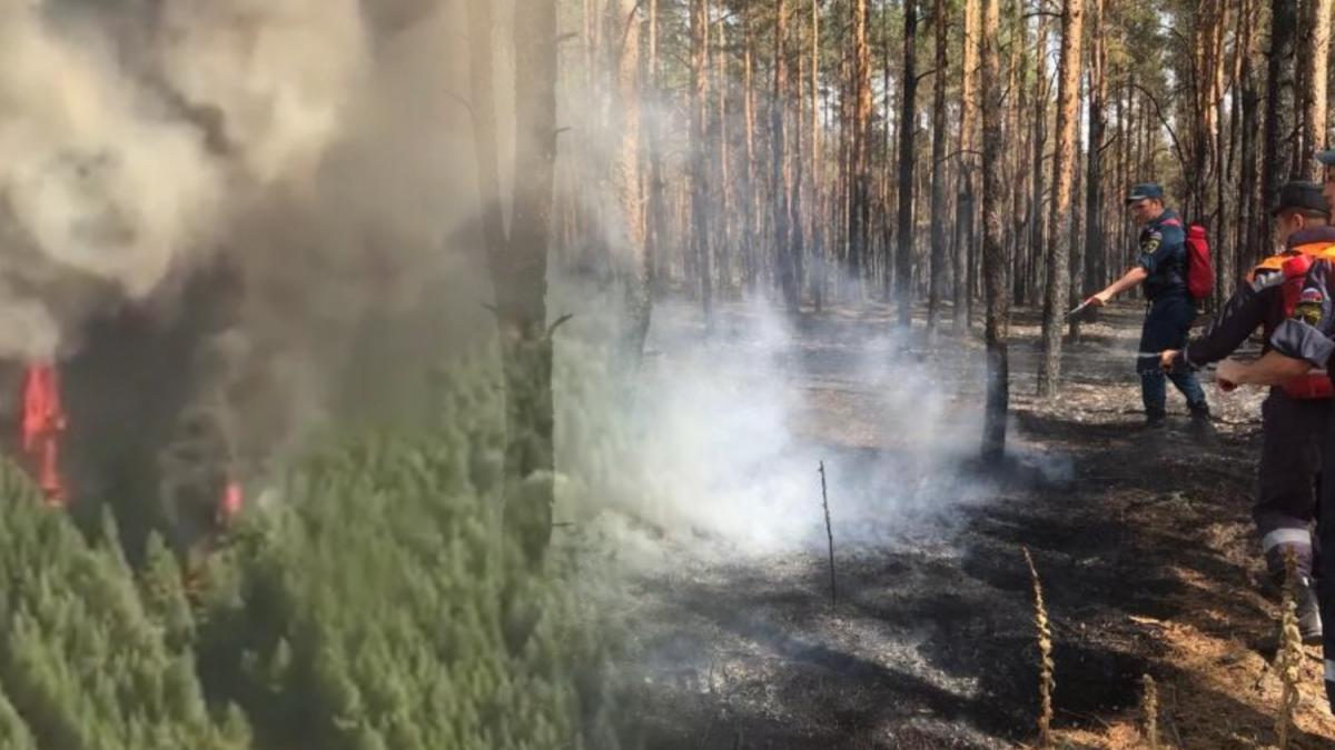 Пожары в Ростовской области Пожары в Ростовской области