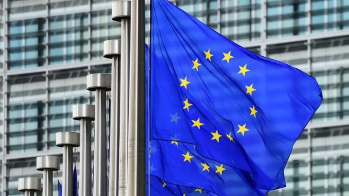 гуманитарная виза в германию. россия и европейский союз. россия и ес. партнеры европейского союза. евросоюз энергетика.