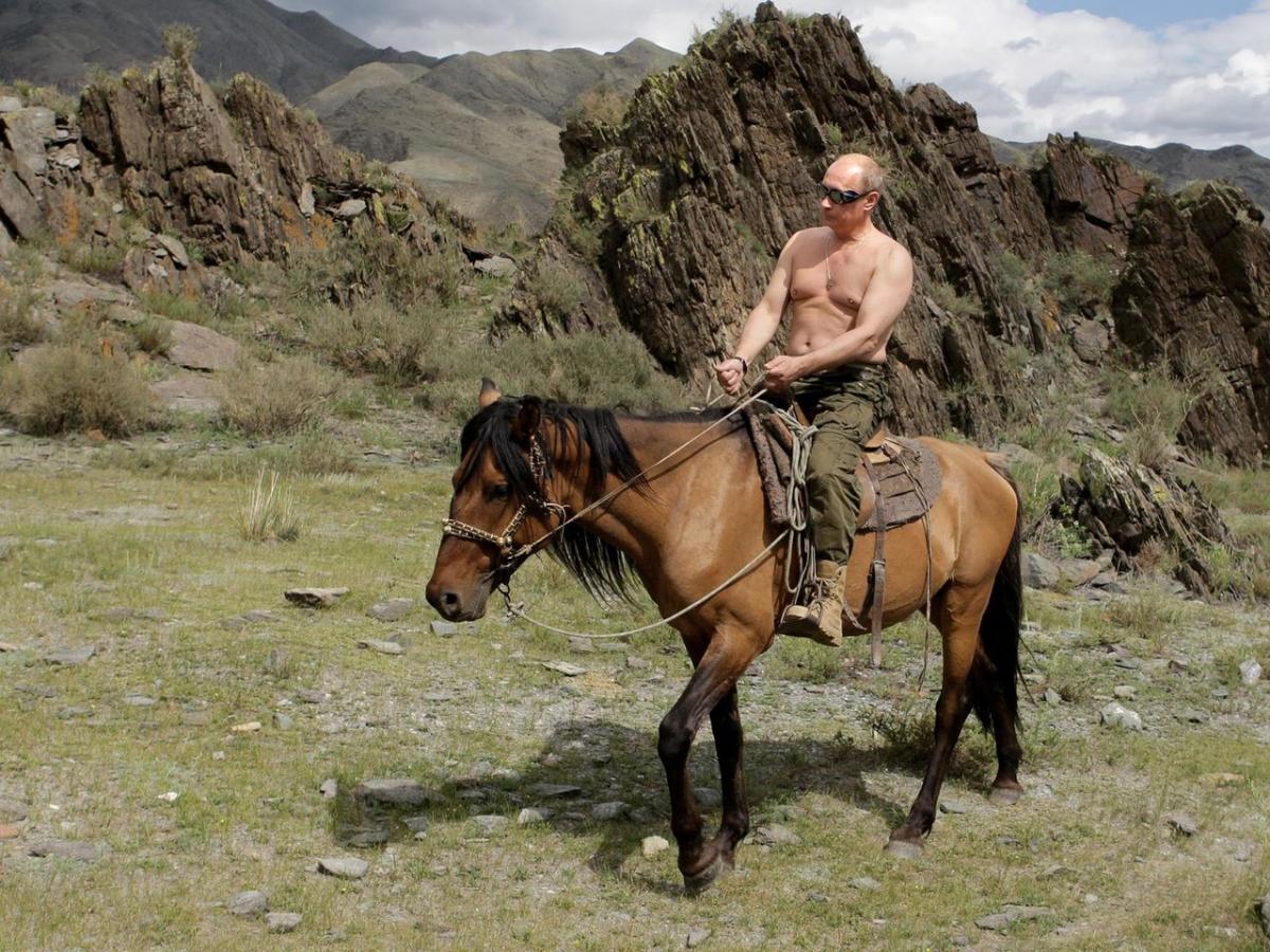 Владимир Путин, президент России, конь