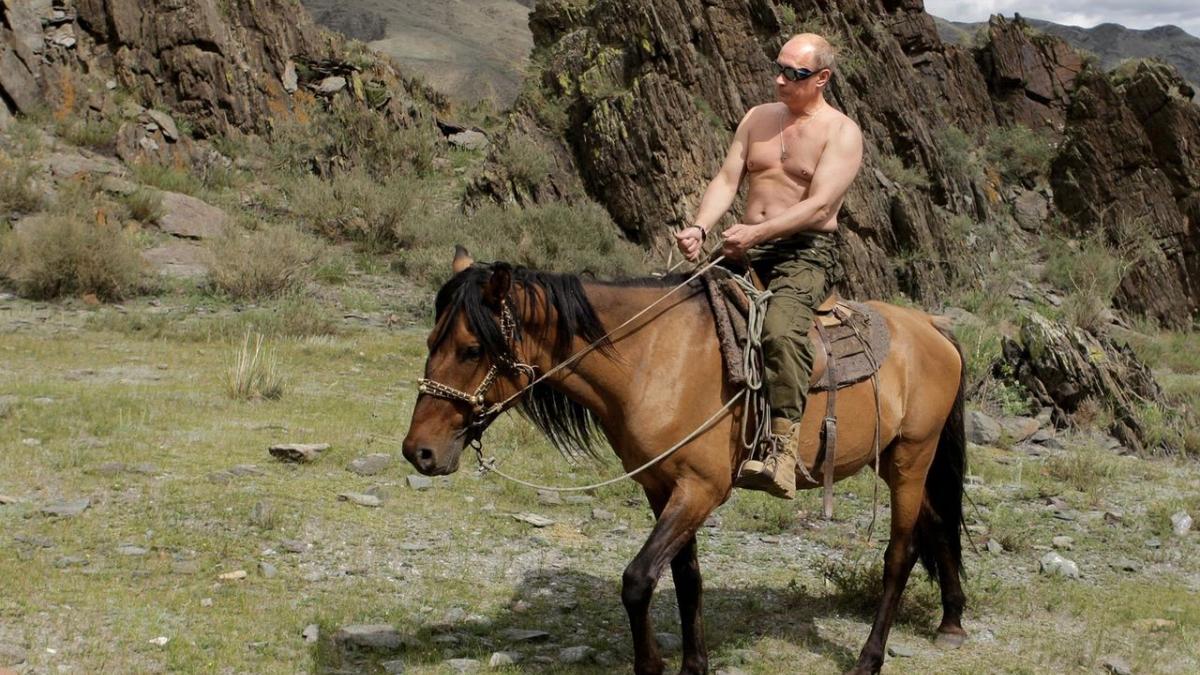 Владимира Путина в США обвинили в притеснении сексуальных меньшинств Владимир Путин, президент России, конь