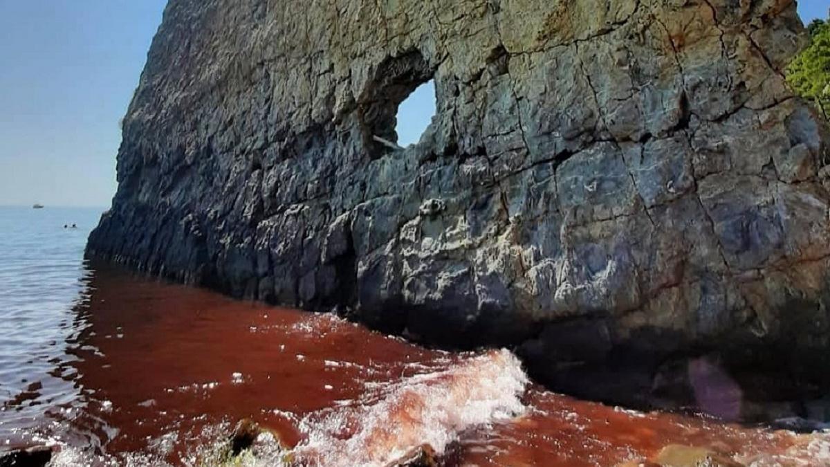Красная вода у скалы Парус Под Геленджиком Черное море окрасилось в красный цвет