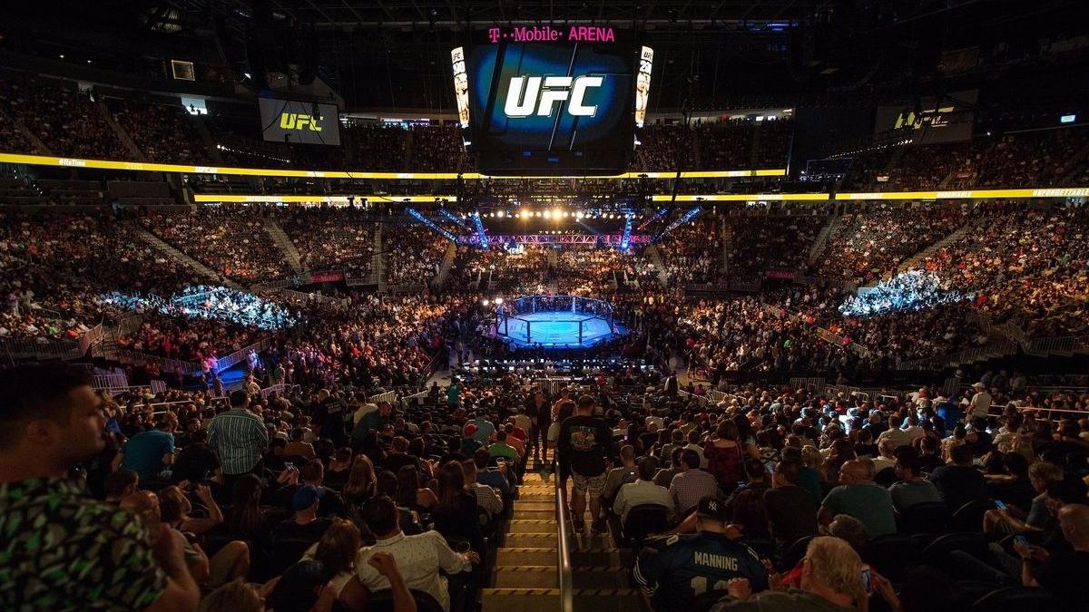 Из-за коронавируса отменён турнир UFC 249 арена UFC для проведения поединков