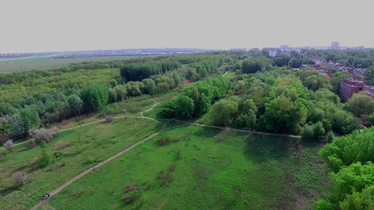 Роща рядом с Ростовом Александровская роща Ростов