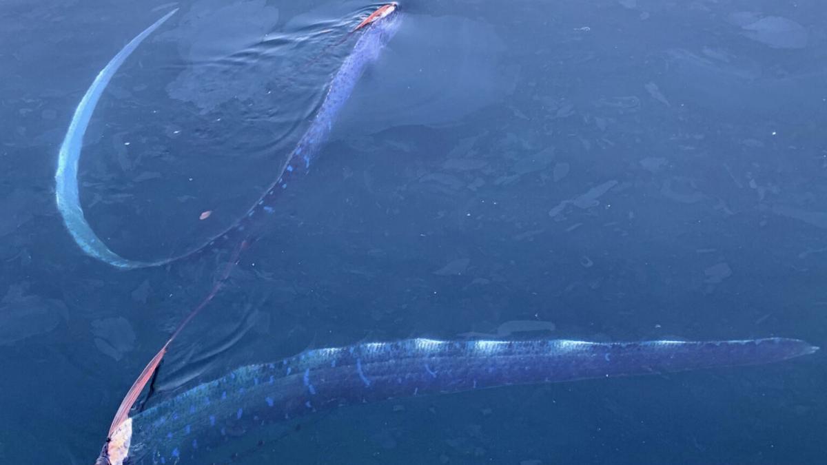 Красивое море. Море сулавеси. Море и его части. Морская пена. Морской прибой анапа.