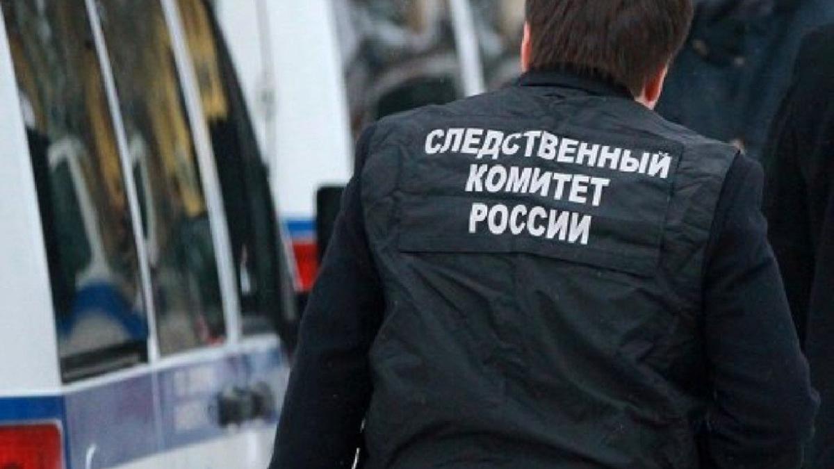 Неизвестный пытался пронести в ростовский Дом культуры сумку с оружием В Ростове неизвестный пытался пронести оружие на празднование детской вечеринки
