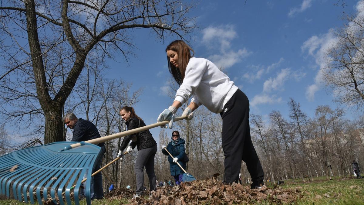 Городской субботник