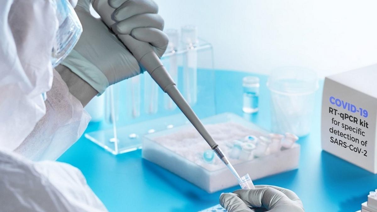 Лаборант проводит анализ теста на коронавирус Лаборант