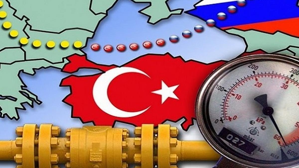 Турция значительно сократила импорт российского газа Газовое оборудование