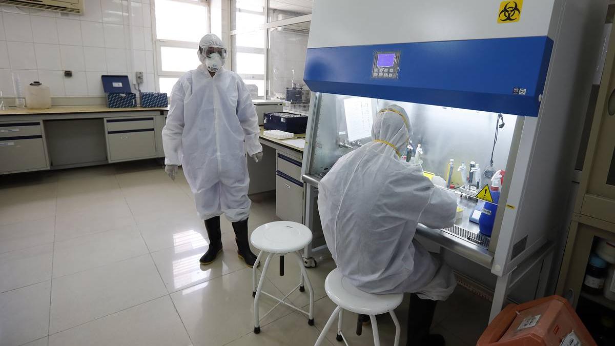 Установлено время выживания коронавируса в воде Ученые исследуют коронавирус в лаборатории