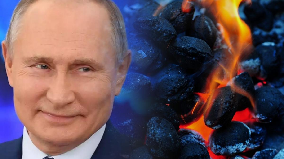 Владимир Путин В Германии оценили смелый план Путина с углем и газом: Европа впадёт в зависимость