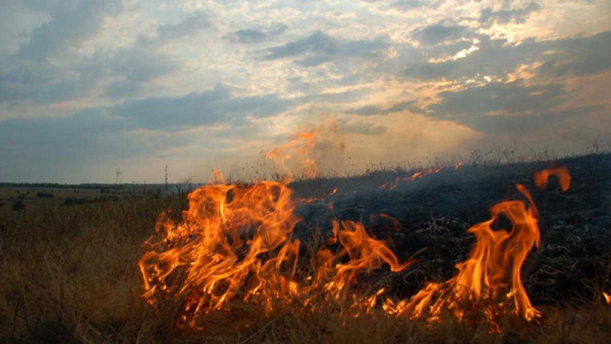 Последние новости сегодня. В Крыму ликвидировали степной пожар на площади около шести гектаров