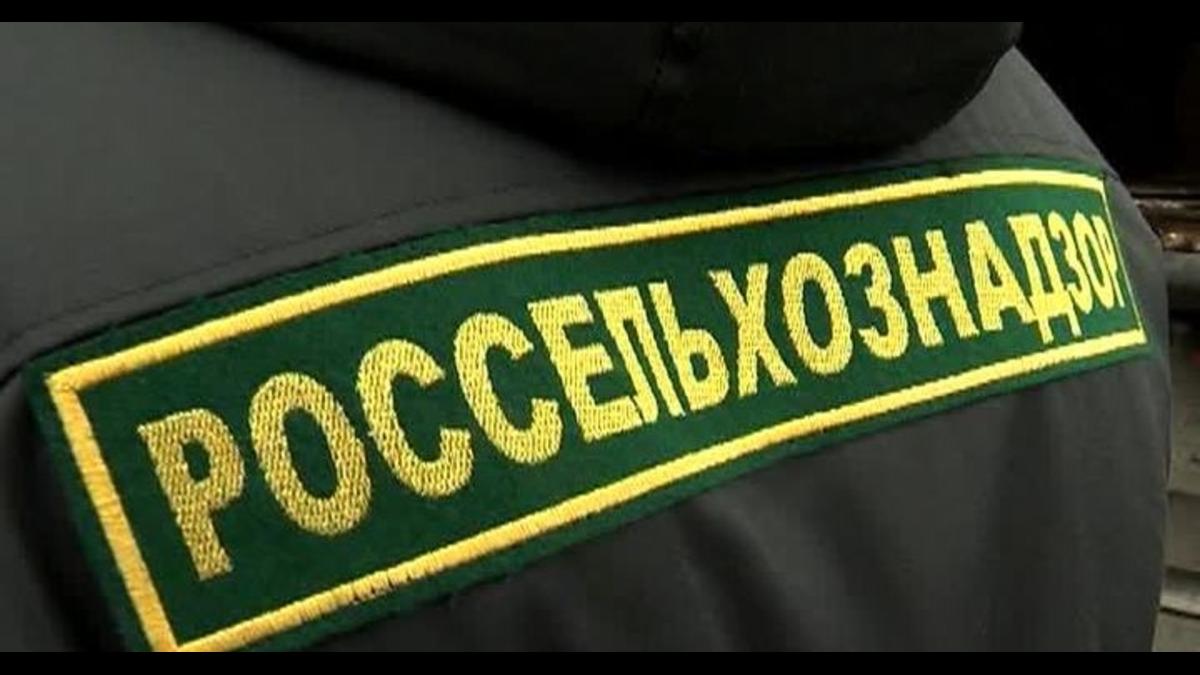 Последние новости сегодня. Спасибо, не надо: Россельхоз вернул Китаю почти 20 тонн зараженного арахиса