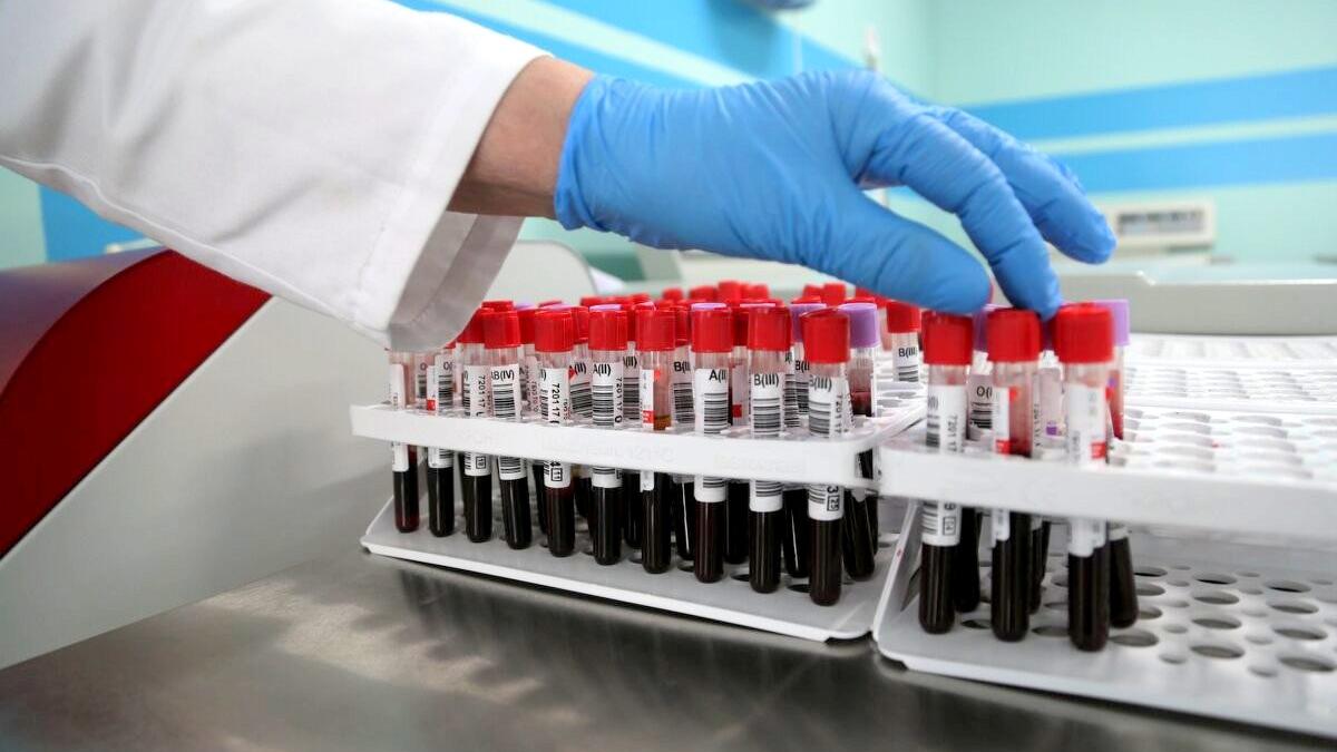 Группа крови, которой обладают долгожители Группа крови, которой обладают долгожители: они готовы жить вечно