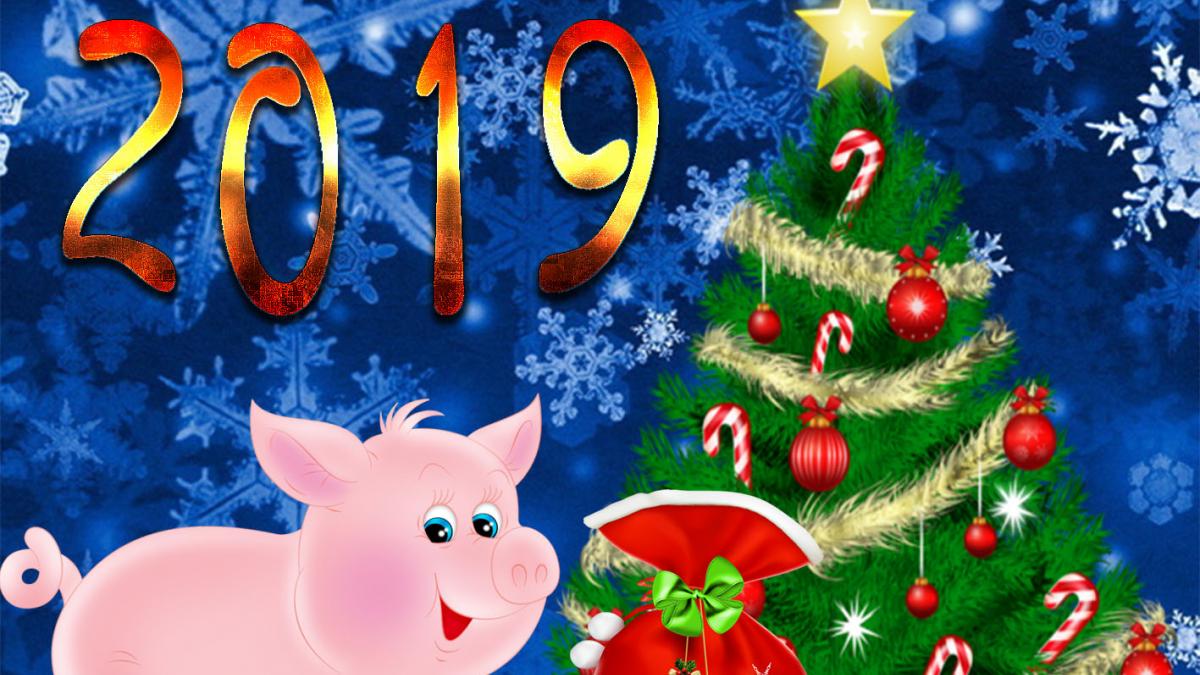 Открытка февраля, открытка двусторонняя с новым годом 2019