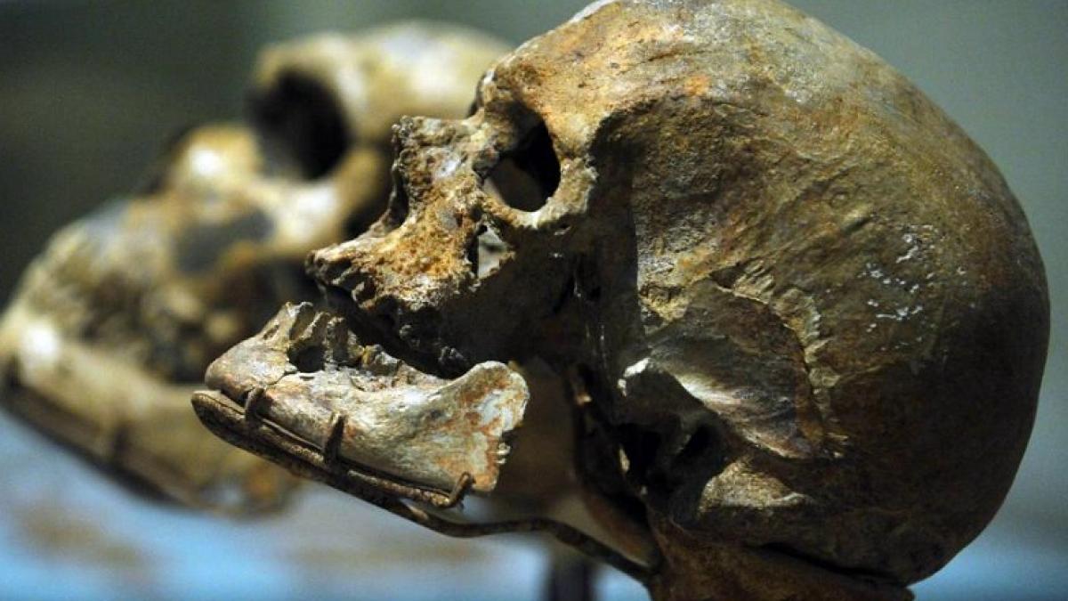 Череп, обнаруженный в Китае, ставит под сомнение теорию происхождения человека Череп, обнаруженный в Китае, ставит под сомнение теорию происхождения человека
