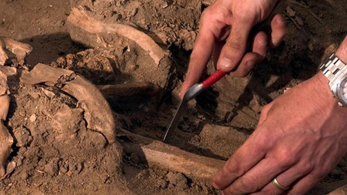 Переписали всю историю человечества, древние останки, найденные в Марокко Древние останки, найденные в Марокко, переписали всю историю человечества