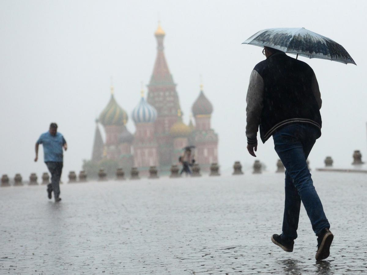 Синоптики предупредили жителей Москвы о грозе и сильном ветре в воскресенье