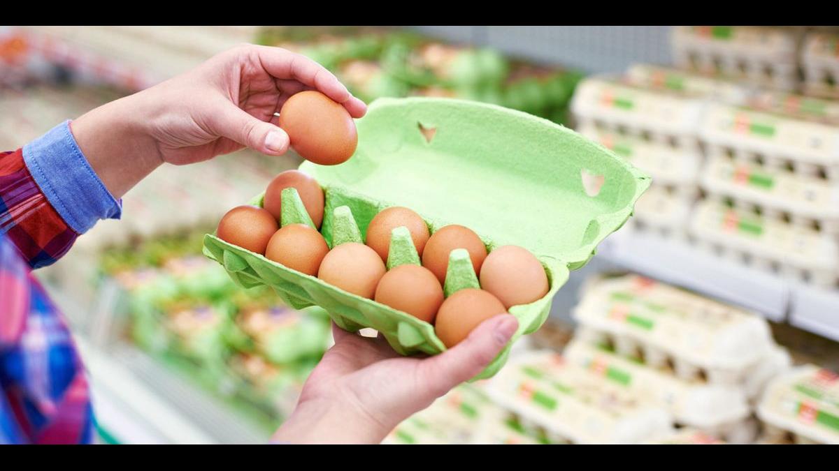 Продажа Яиц В Магазине