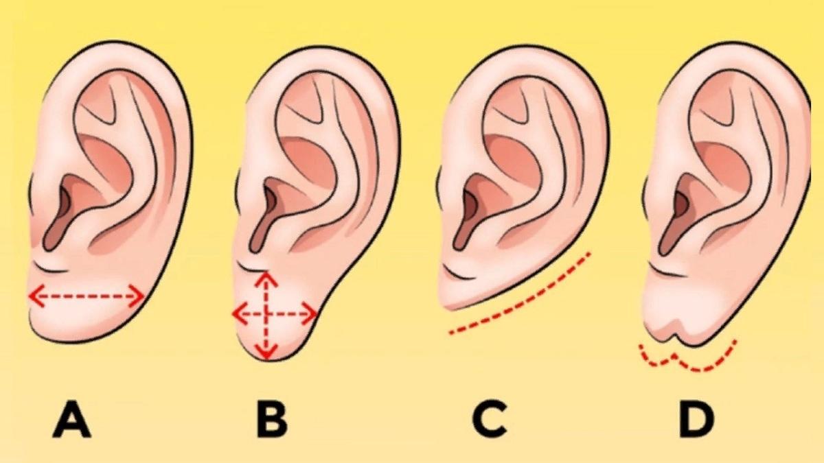 Как определить продолжительность жизни и происхождение по мочке ушей