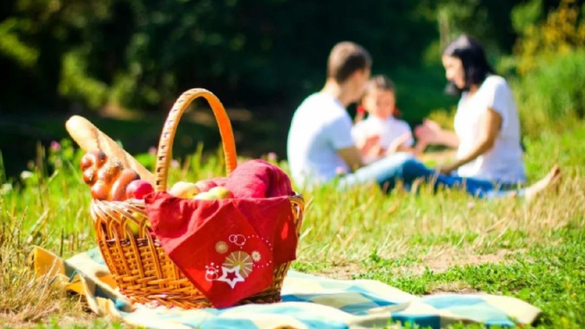 Пикник в майские выходные Как продлить майские выходные