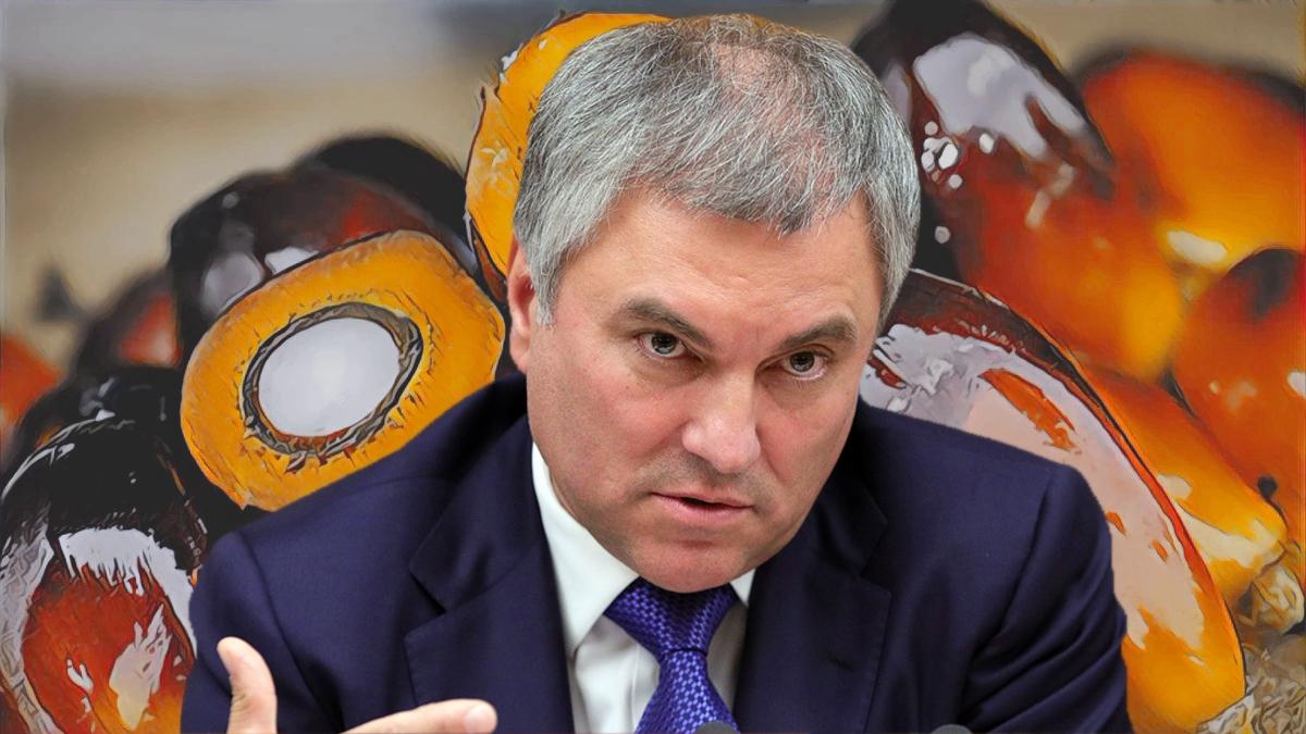 Председатель Госдумы РФ Вячеслав Володин Вячеслав Володин